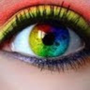 Meet your Posher, Ashly